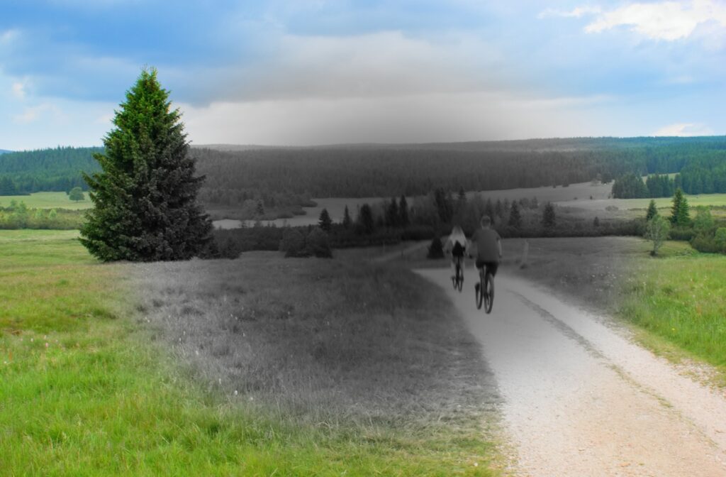 An image of the countryside with a circle of muted color in the middle depicting the effects of AMD.